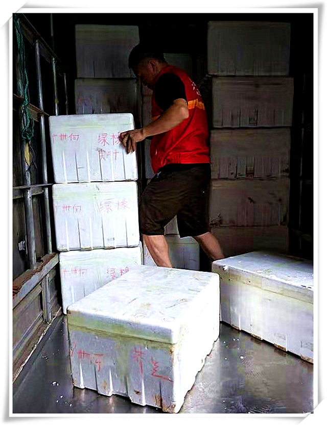 rb88随行版-rb88手机随行版登录入口