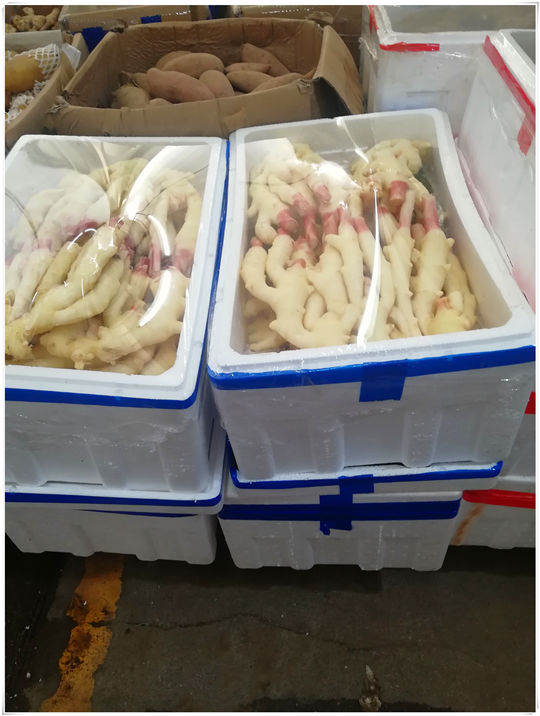 rb88随行版-rb88手机随行版登录入口