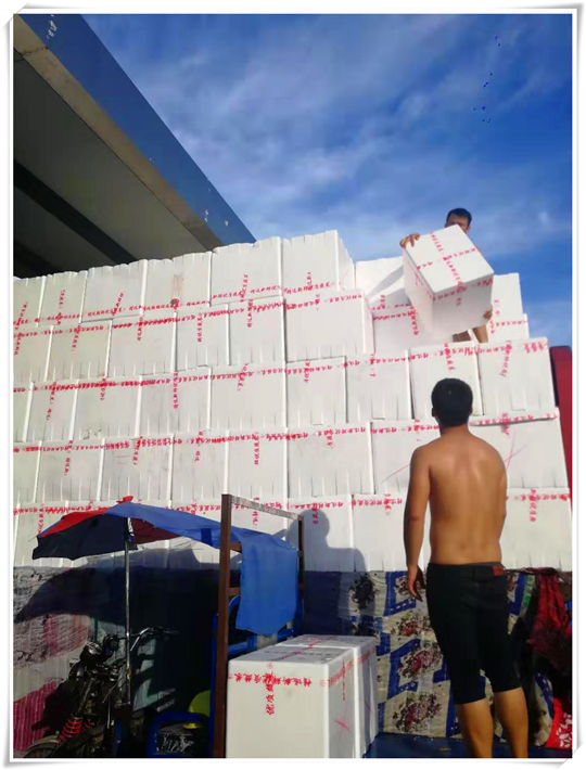 rb88随行版-rb88手机随行版登录入口