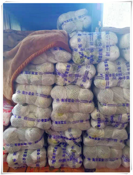 rb88随行版-rb88手机随行版登录入口