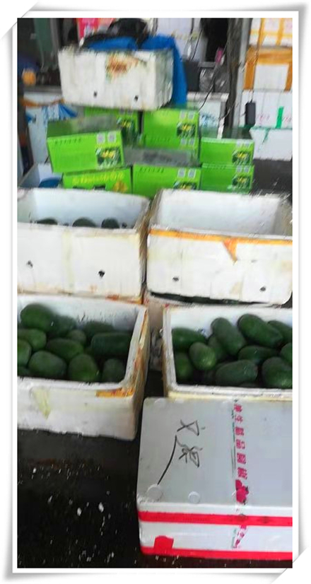 rb88随行版-rb88手机随行版登录入口