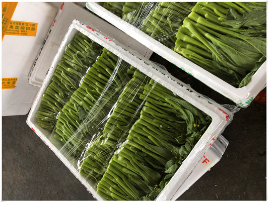 rb88随行版-rb88手机随行版登录入口