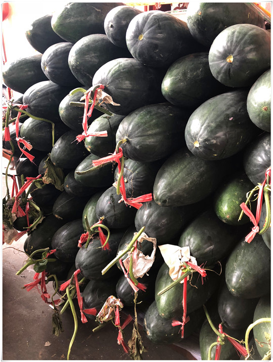 rb88随行版-rb88手机随行版登录入口