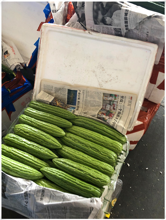 rb88随行版-rb88手机随行版登录入口