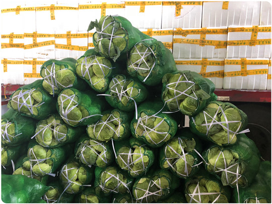 rb88随行版-rb88手机随行版登录入口