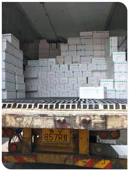 rb88随行版-rb88手机随行版登录入口