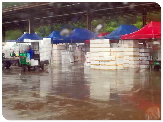 rb88随行版-rb88手机随行版登录入口