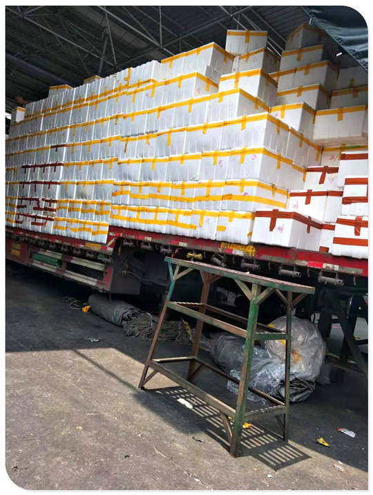 rb88随行版-rb88手机随行版登录入口