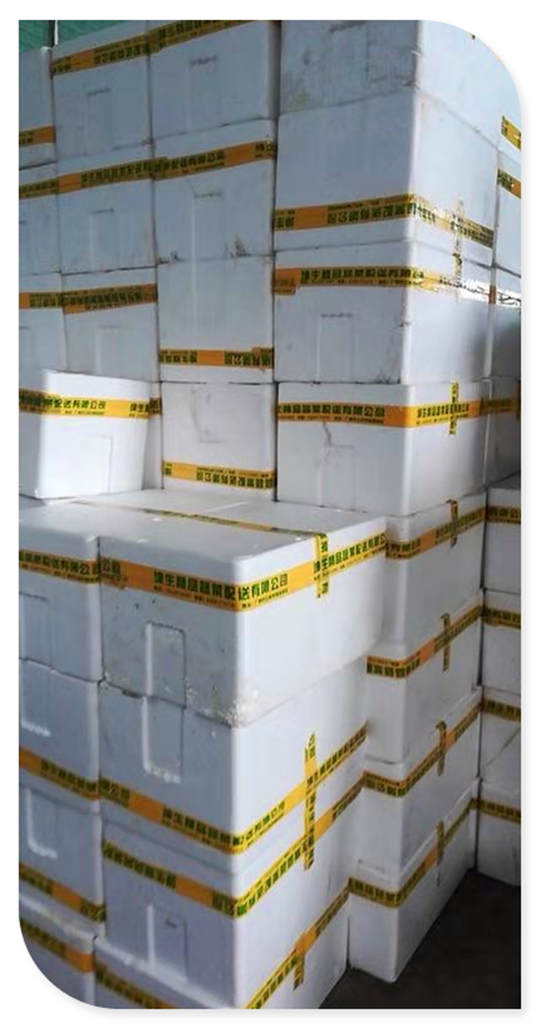 rb88随行版-rb88手机随行版登录入口