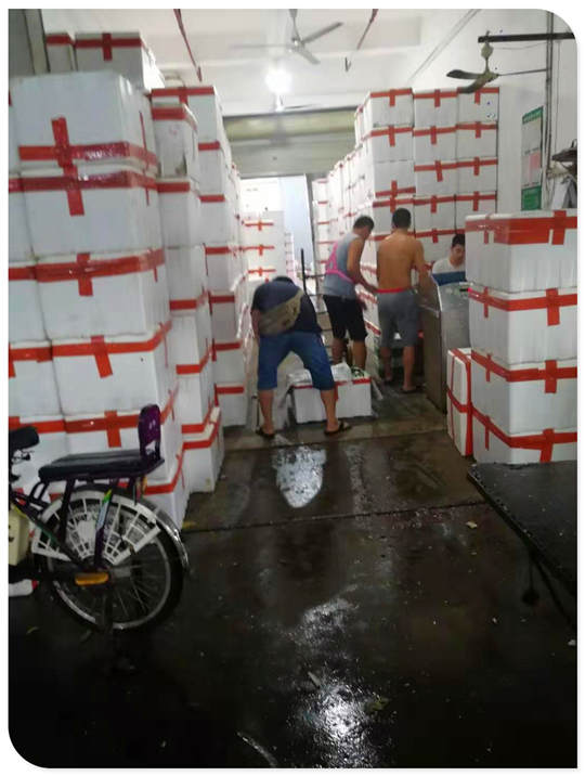 rb88随行版-rb88手机随行版登录入口