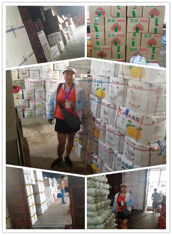 rb88随行版-rb88手机随行版登录入口