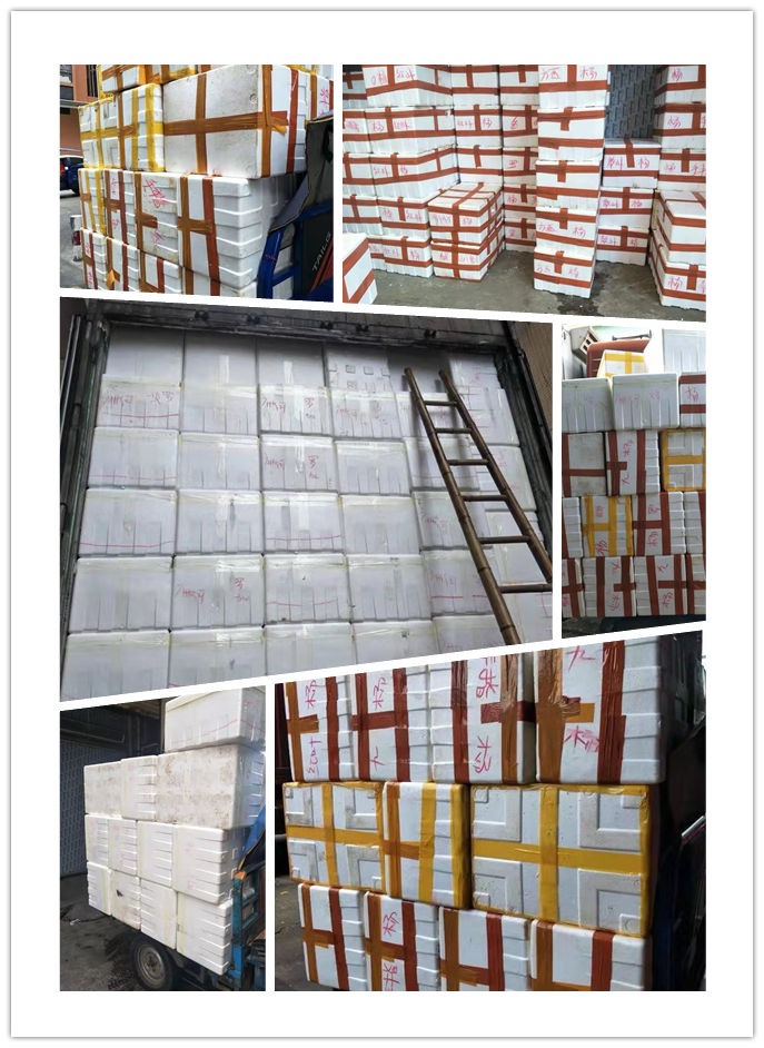 rb88随行版-rb88手机随行版登录入口