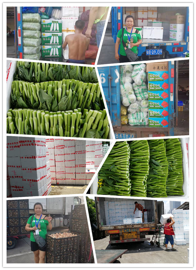 rb88随行版-rb88手机随行版登录入口