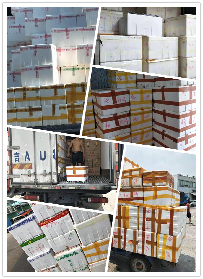 rb88随行版-rb88手机随行版登录入口