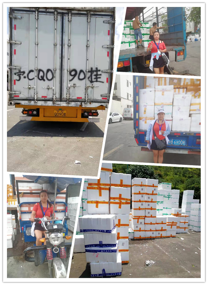 rb88随行版-rb88手机随行版登录入口