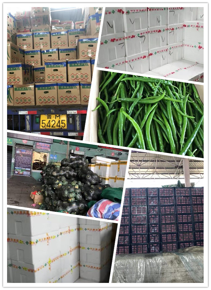 rb88随行版-rb88手机随行版登录入口