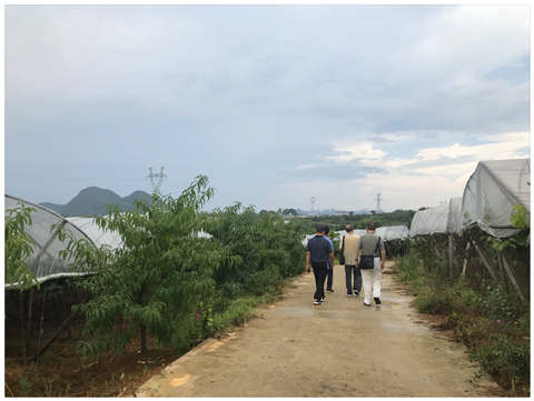 rb88随行版-rb88手机随行版登录入口