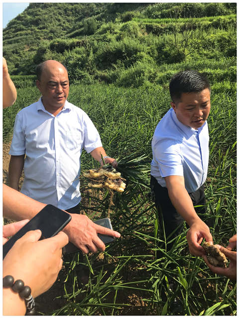 rb88随行版-rb88手机随行版登录入口