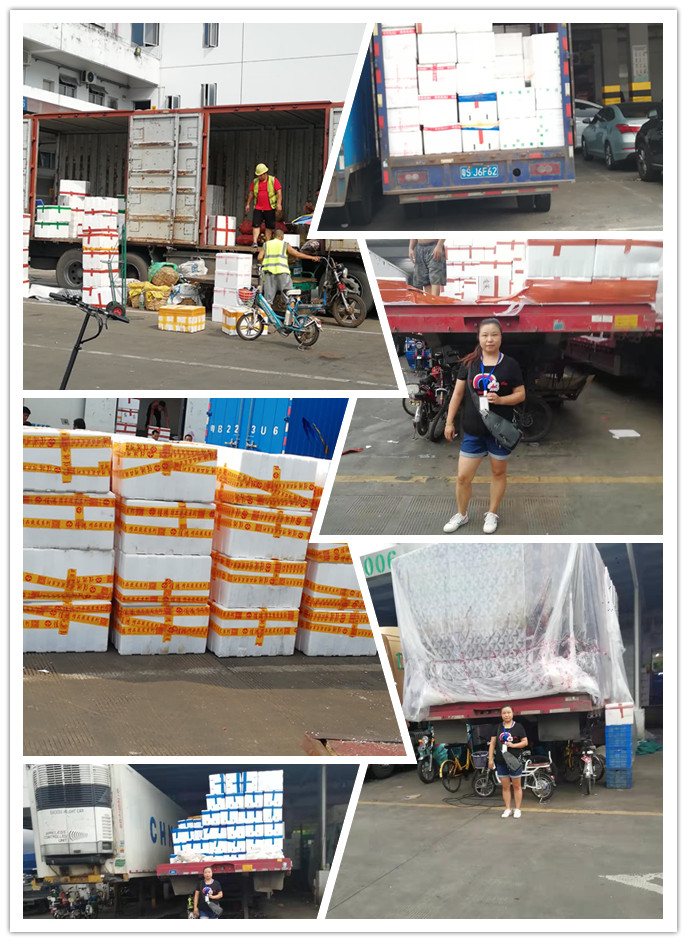 rb88随行版-rb88手机随行版登录入口