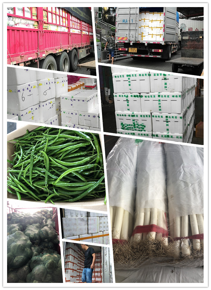 rb88随行版-rb88手机随行版登录入口