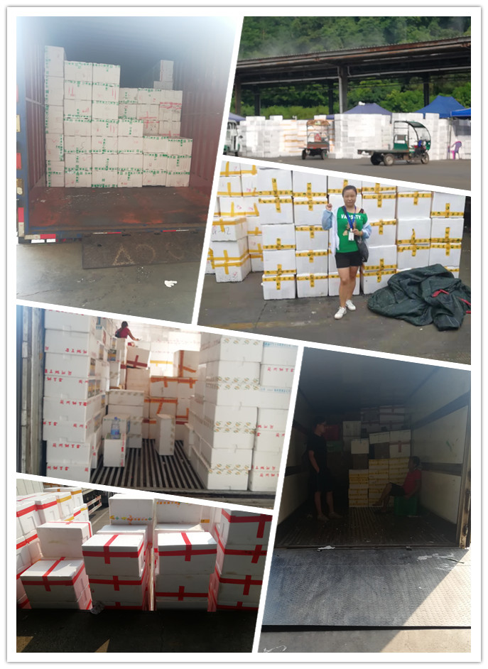 rb88随行版-rb88手机随行版登录入口