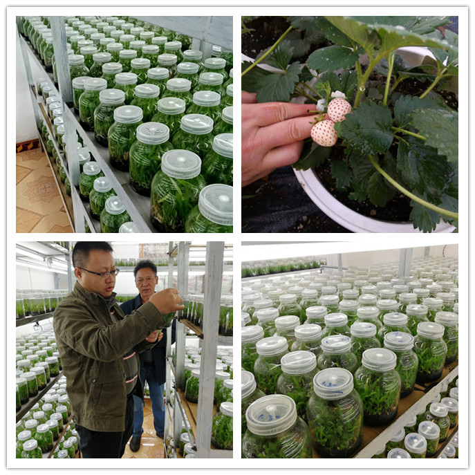 rb88随行版-rb88手机随行版登录入口