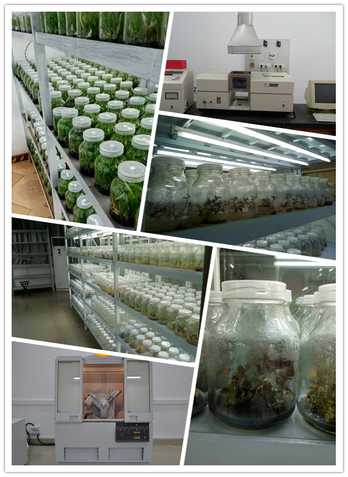 rb88随行版-rb88手机随行版登录入口