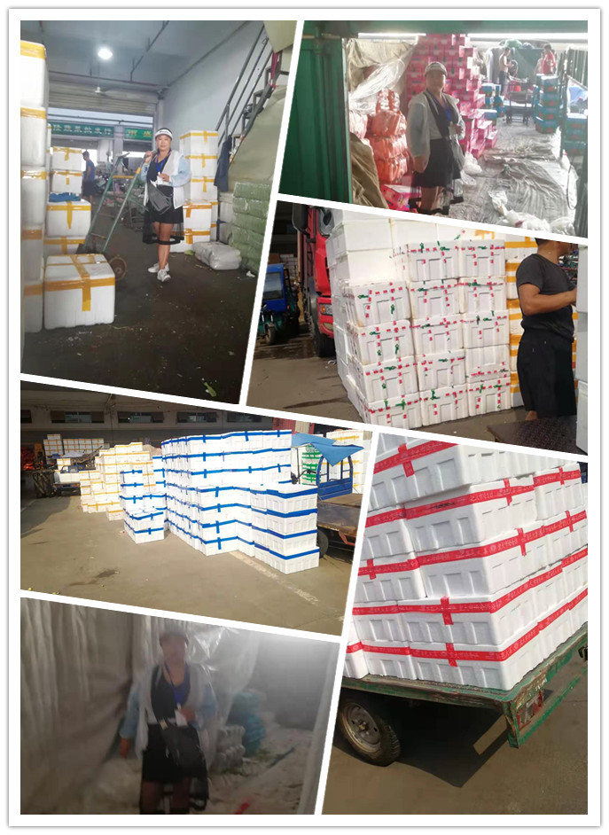 rb88随行版-rb88手机随行版登录入口