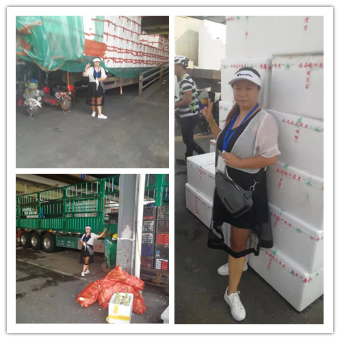 rb88随行版-rb88手机随行版登录入口