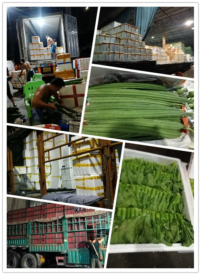 rb88随行版-rb88手机随行版登录入口