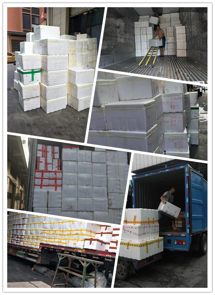 rb88随行版-rb88手机随行版登录入口