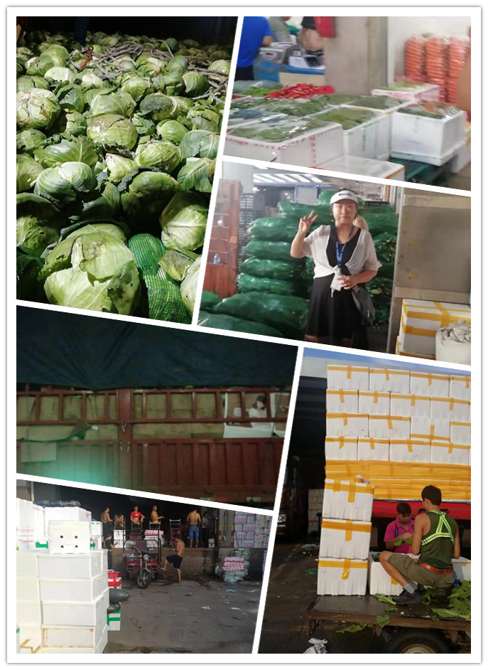 rb88随行版-rb88手机随行版登录入口