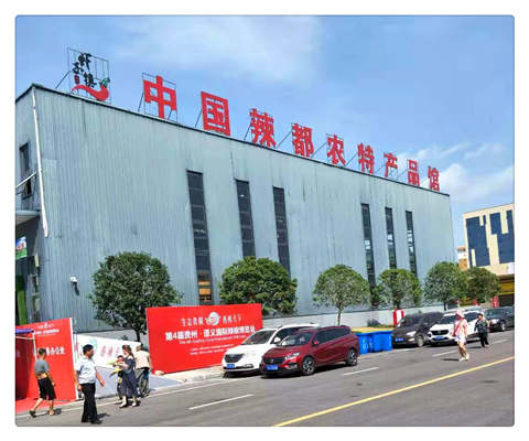 rb88随行版-rb88手机随行版登录入口