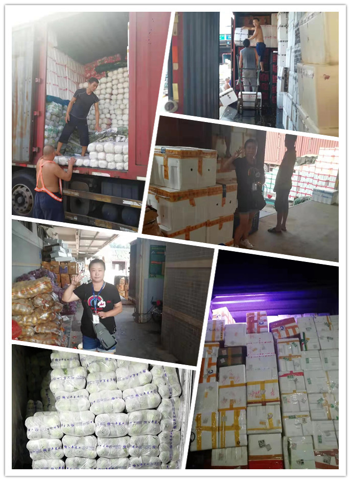 rb88随行版-rb88手机随行版登录入口