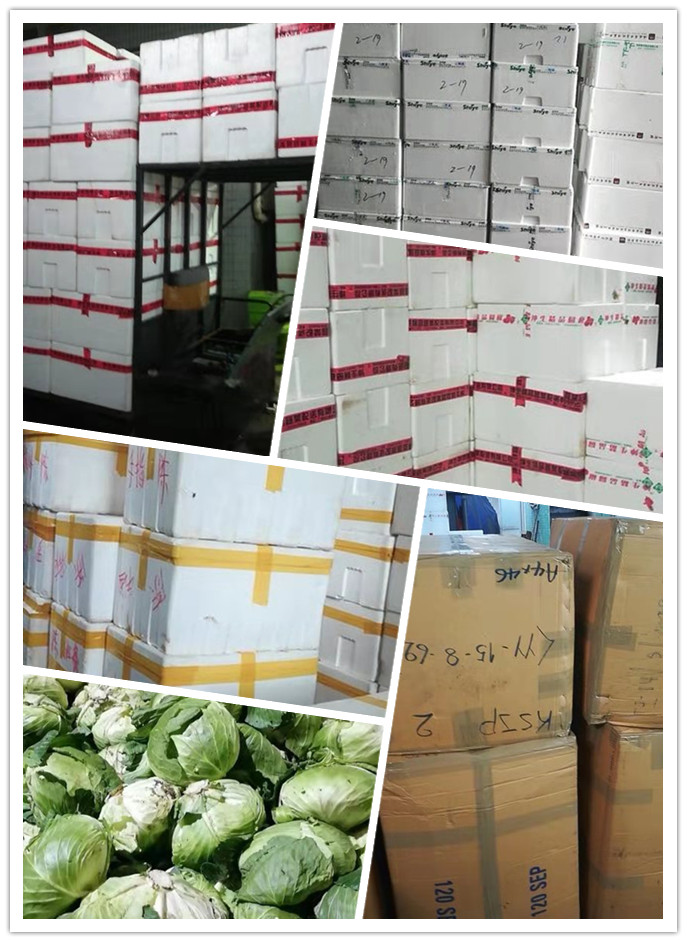 rb88随行版-rb88手机随行版登录入口