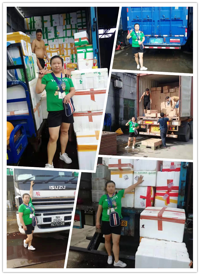 rb88随行版-rb88手机随行版登录入口