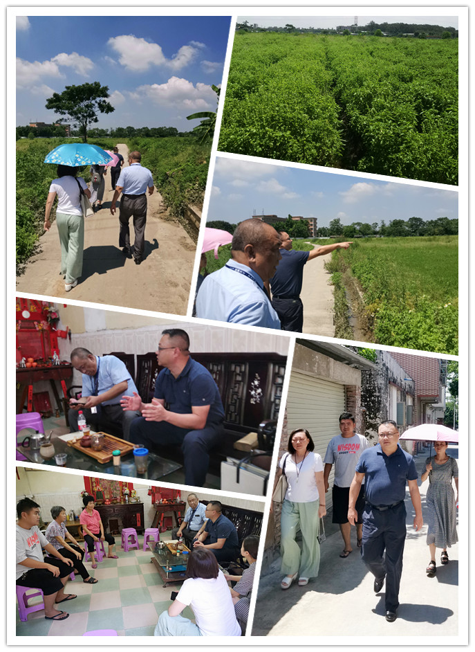 rb88随行版-rb88手机随行版登录入口