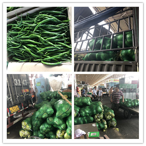 rb88随行版-rb88手机随行版登录入口