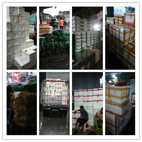 rb88随行版-rb88手机随行版登录入口