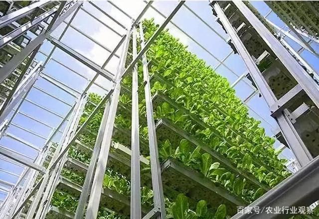 rb88随行版-rb88手机随行版登录入口