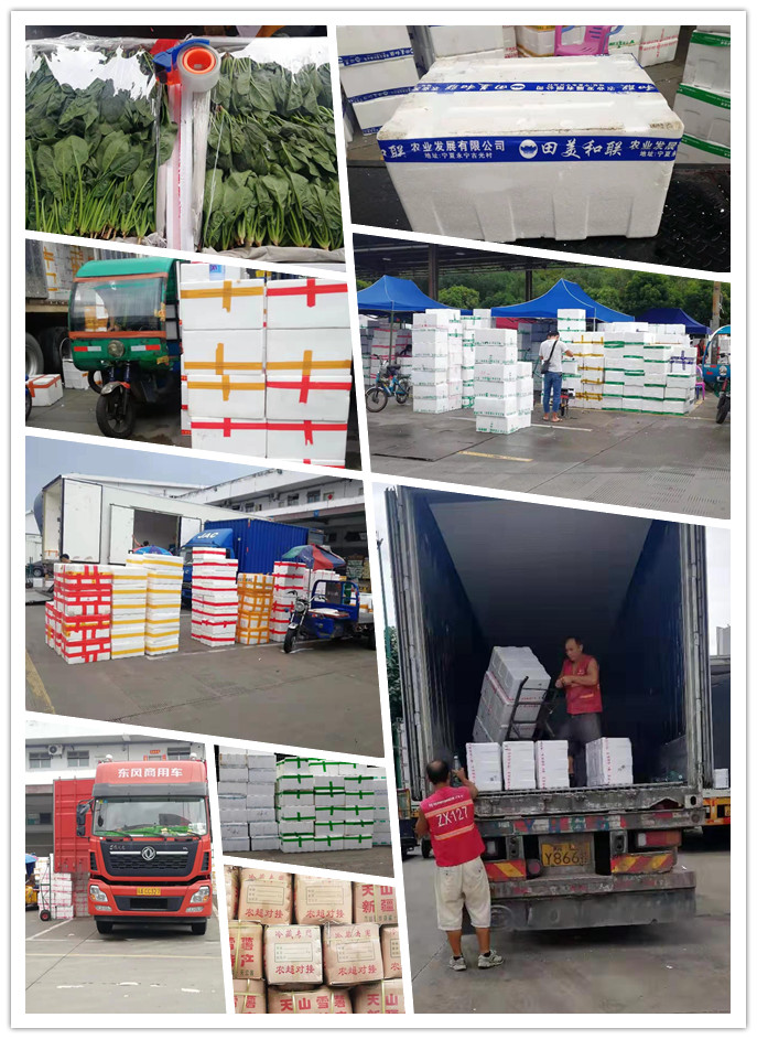 rb88随行版-rb88手机随行版登录入口