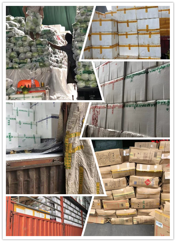 rb88随行版-rb88手机随行版登录入口