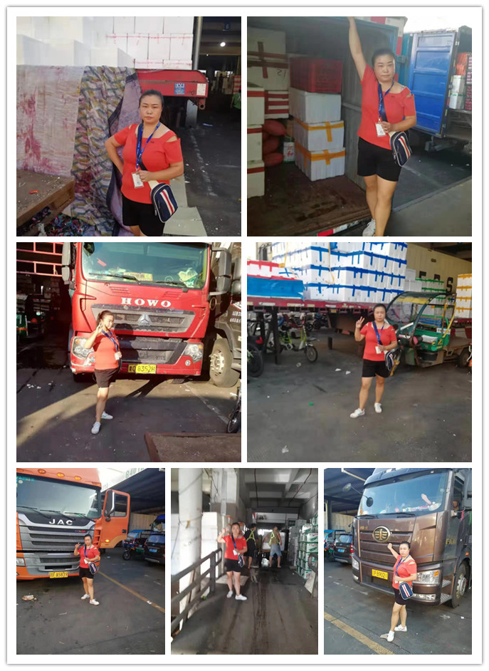 rb88随行版-rb88手机随行版登录入口