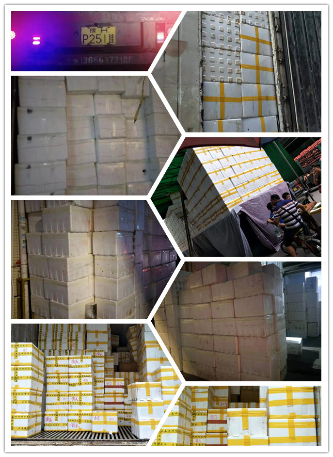 rb88随行版-rb88手机随行版登录入口