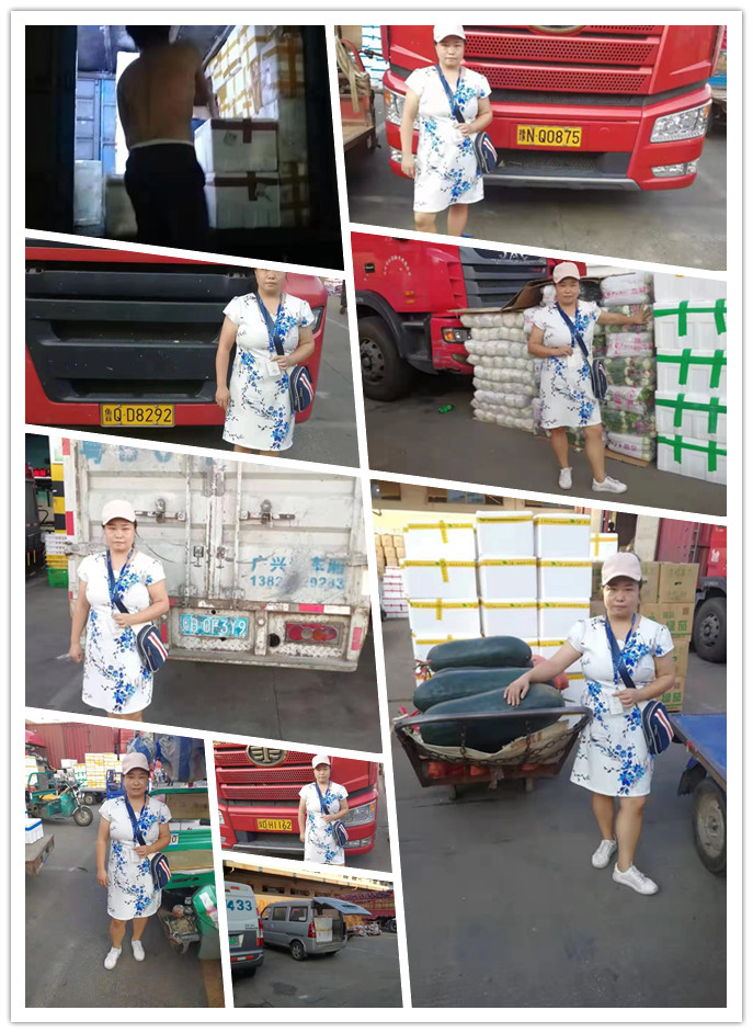 rb88随行版-rb88手机随行版登录入口