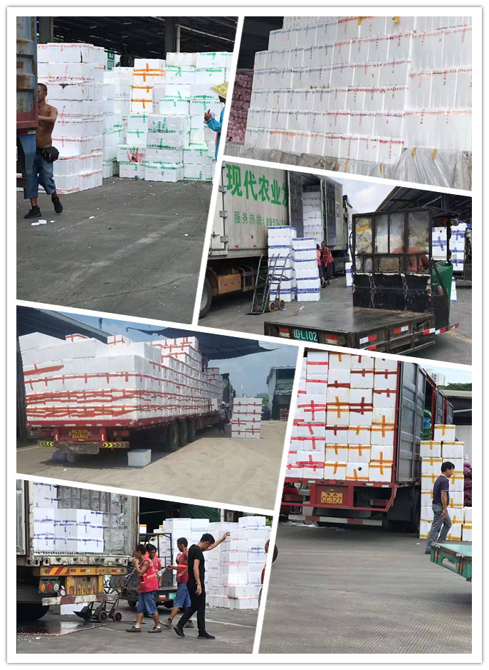 rb88随行版-rb88手机随行版登录入口