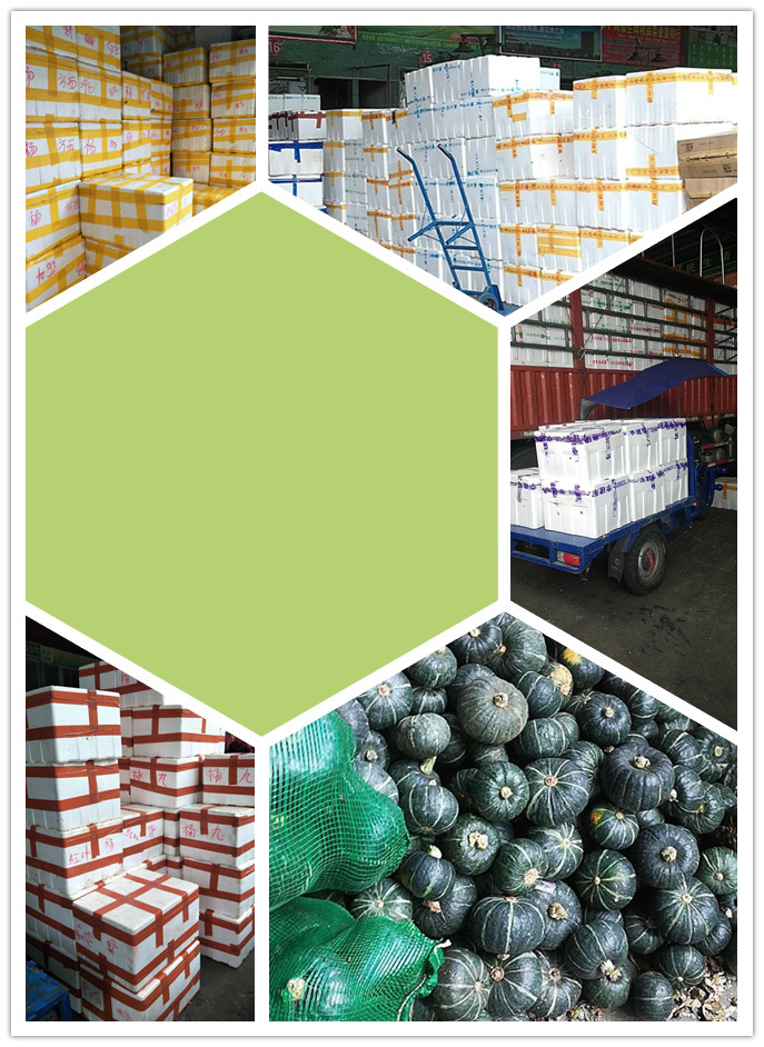 rb88随行版-rb88手机随行版登录入口