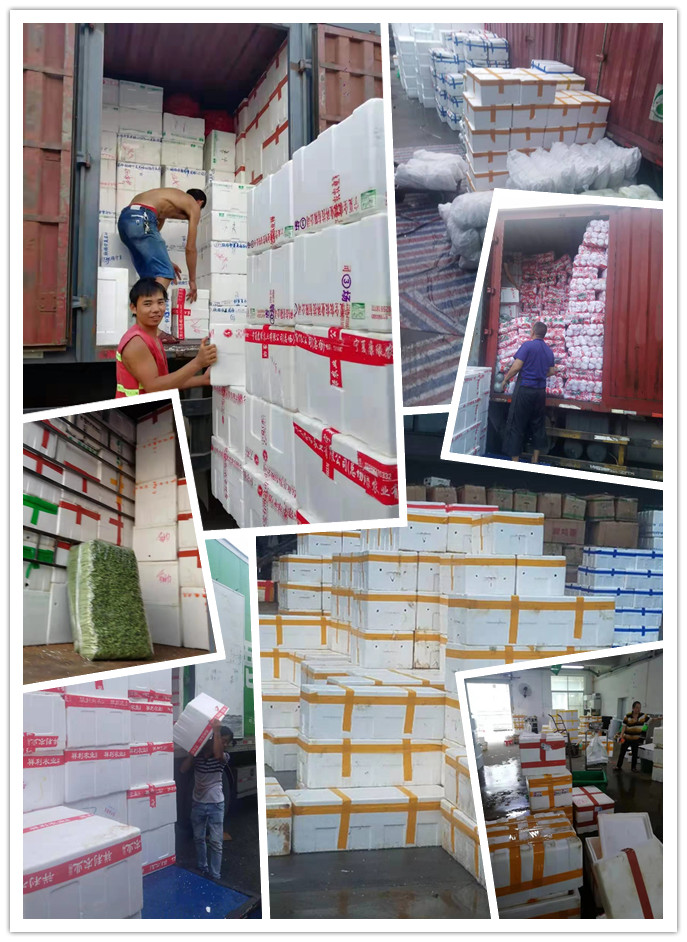 rb88随行版-rb88手机随行版登录入口