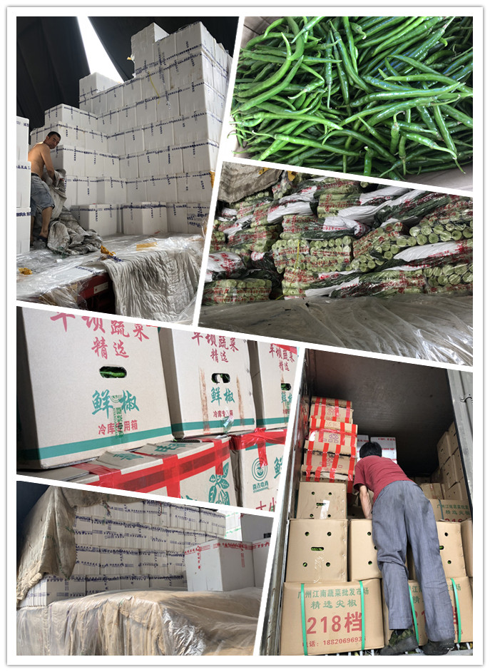 rb88随行版-rb88手机随行版登录入口