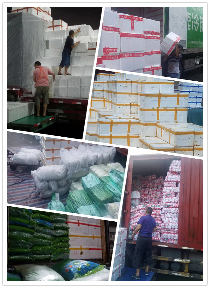 rb88随行版-rb88手机随行版登录入口